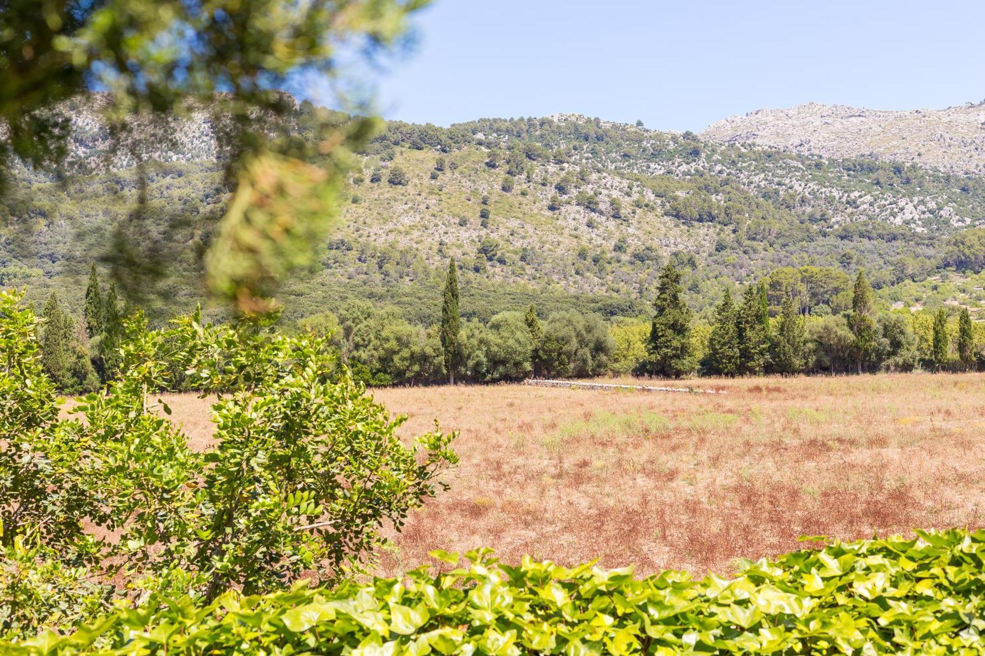 Fangar Agroturismo Campanet Extérieur photo