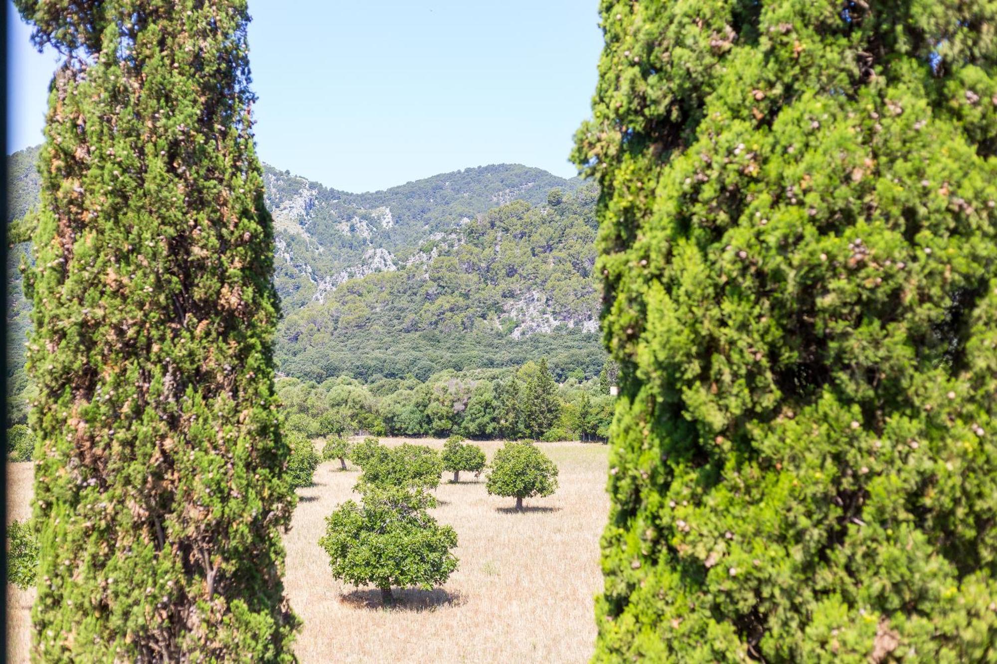 Fangar Agroturismo Campanet Extérieur photo